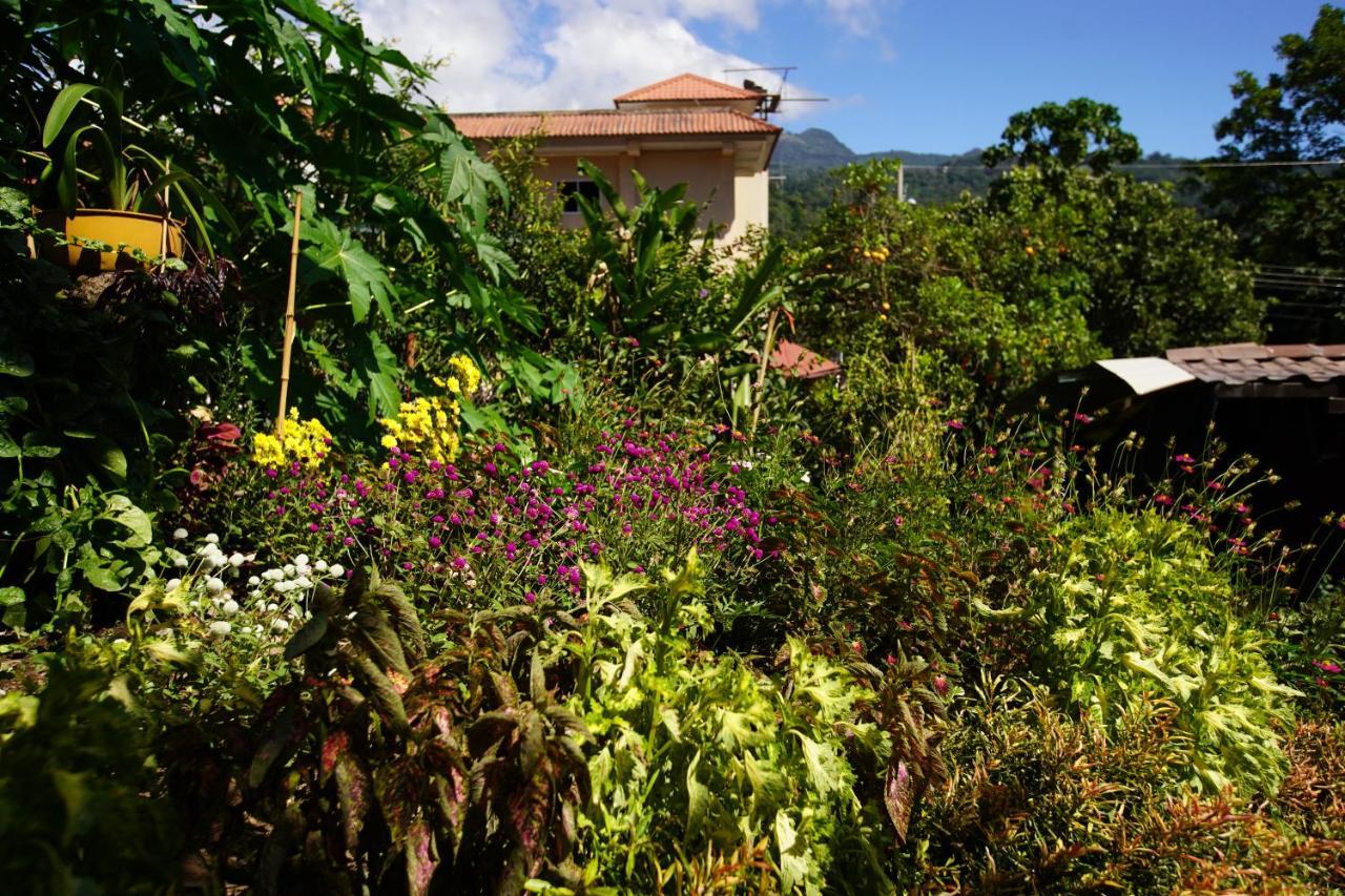 Agaseke Lodge Boquete Εξωτερικό φωτογραφία
