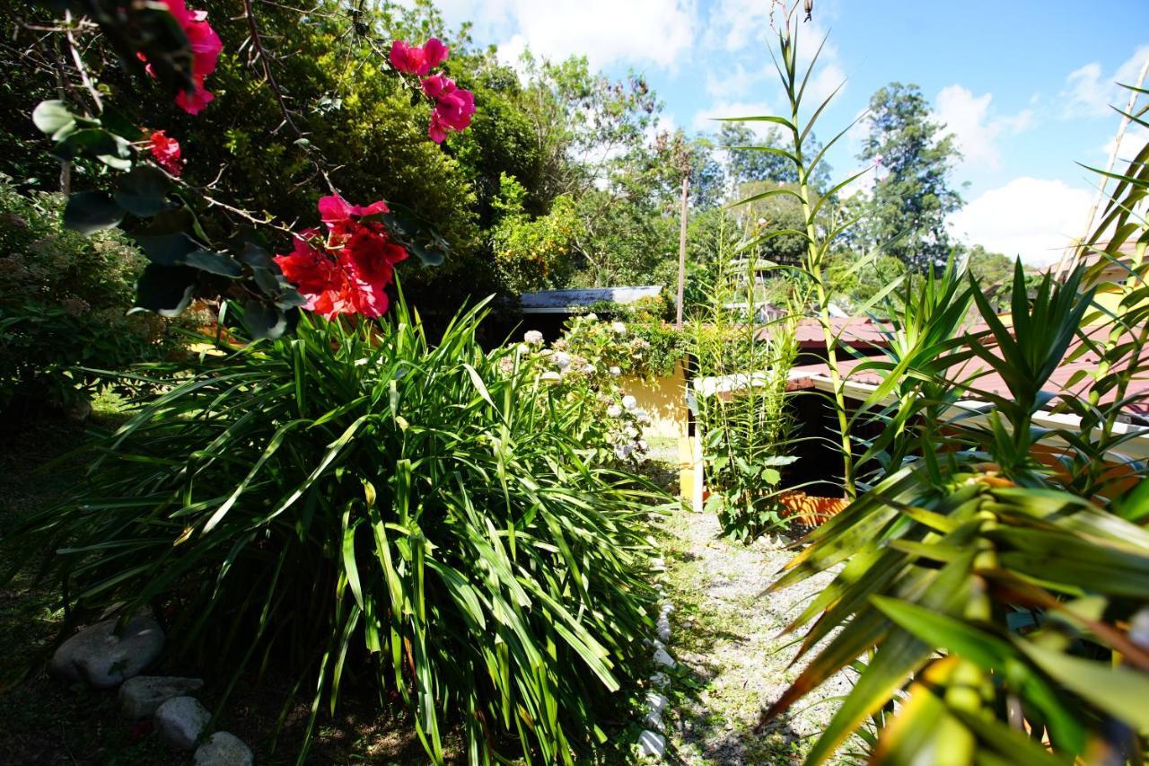 Agaseke Lodge Boquete Εξωτερικό φωτογραφία